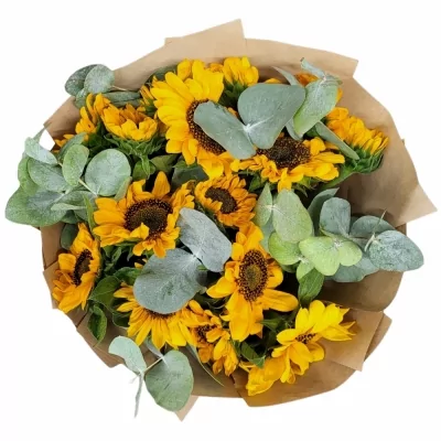 Míchaná kytice 15 žlutých slunečnic s eukalyptem v dárkovém balení 40 cm