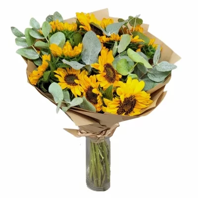 Míchaná kytice 15 žlutých slunečnic s eukalyptem v dárkovém balení