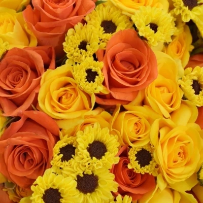 Míchaná kytice 50 ks SUNNY KYRIA