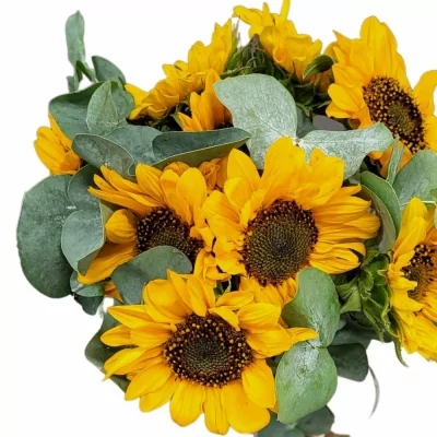 Míchaná kytice 9 žlutých slunečnic