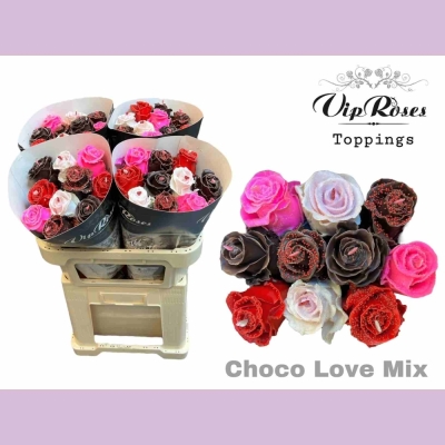 Mix růže CHOCOLAT MIX 70cm (XL)