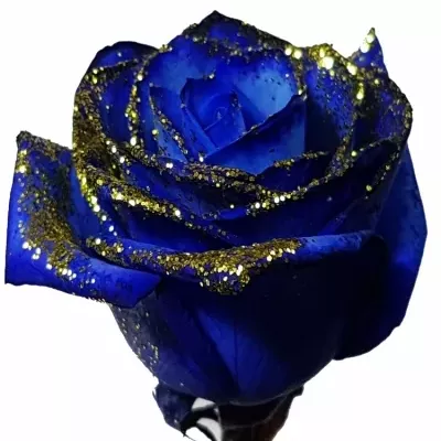 Modrá růže BLUE VENDELA + GOLD GLITTERS