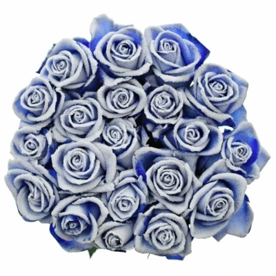 Modrá růže BLUE VENDELA + SILVER GLITTERS