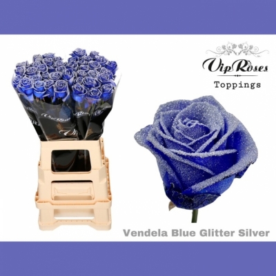 Modrá růže BLUE VENDELA + SILVER GLITTERS