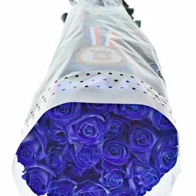 Modrá růže BLUE VENDELA 