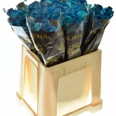 Modrá růže KRYPTONITE BLUE 