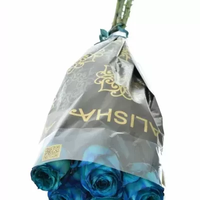 Modrá růže KRYPTONITE BLUE 