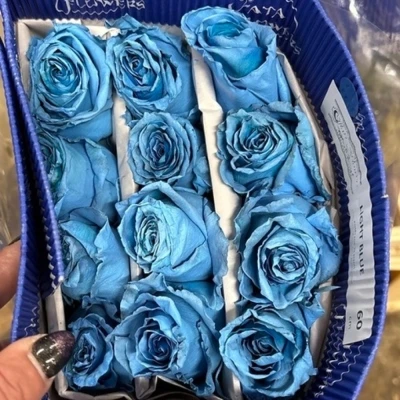 Modrá růže LIGHT BLUE - MODRÁ RŮŽE 60cm (XXL) EQ