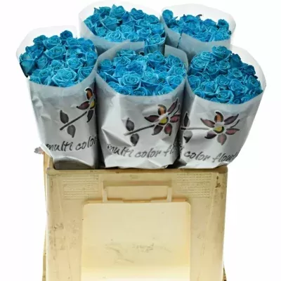 Modrá růže LIGHT BLUE VENDELA