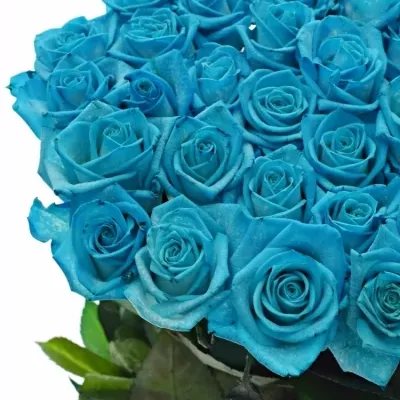 Modrá růže LIGHT BLUE VENDELA