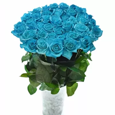 Modrá růže LIGHT BLUE VENDELA