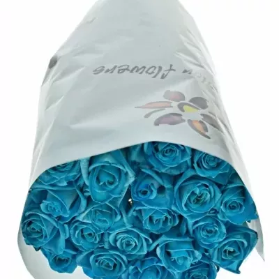 Modrá růže LIGHT BLUE VENDELA