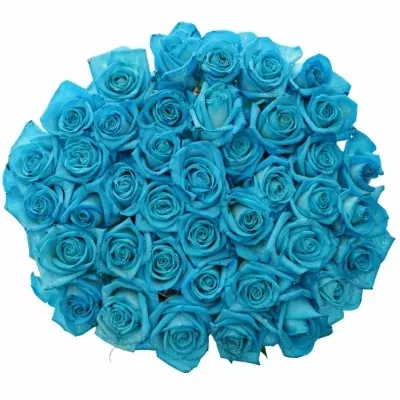 Modrá růže LIGHT BLUE VENDELA