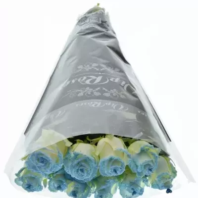 Modrá růže PEARL BLUE LOVE