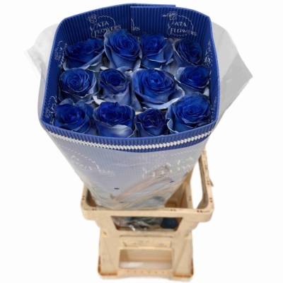 Modrá růže TINTED BLUE SPARKLE MOON
