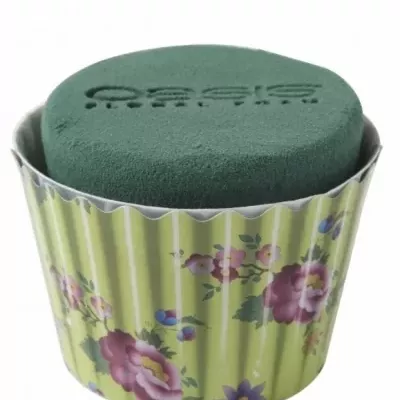 OASIS FLORAL CUPCAKE KVĚTY ZELENÝ Ø8cm