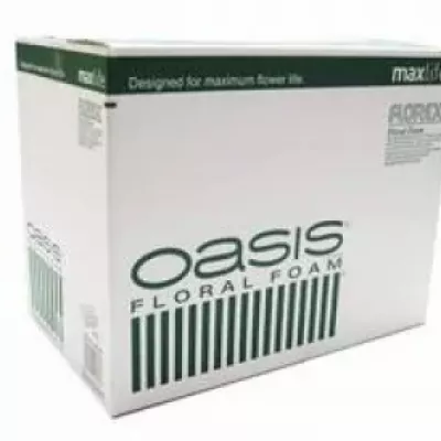 OASIS florexu aranžovacej hmoty 20x10 x7,7cm 40BOX