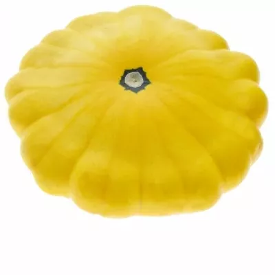 CUCURBITA PEPO FLYING SAUCER Ø15cm