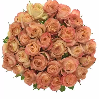Oranžová růže CAFE CARAMEL 40cm (L)
