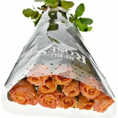 Oranžová růže CLARENCE+ JONG 50cm (L)