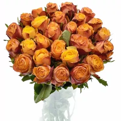 Oranžová růže GRANADA 60cm