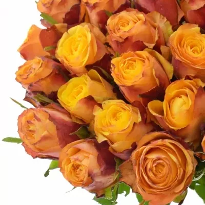 Oranžová růže GRANADA 60cm