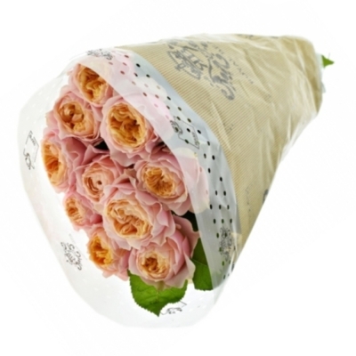 Oranžová ruža NOTTING HILL 40 cm (XL)