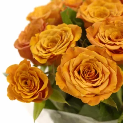 Oranžová růže SMART 50cm (S)