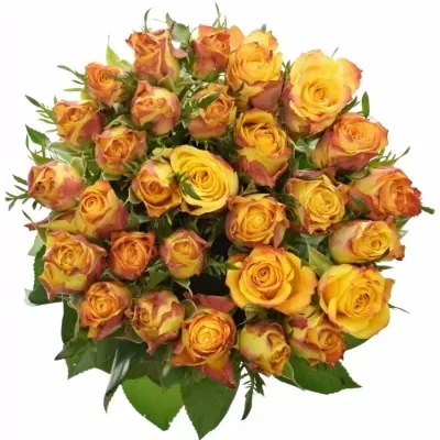 Oranžová růže SOMBRERO 70cm (XL)