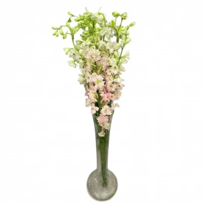 Ostrožka REGALIS QIS LIGHT PINK