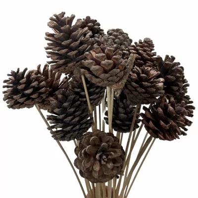 OZDOBY VÁNOČNÍ PINE CONE NATUR 6cm 