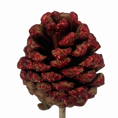 Ozdoby VÁNOČNÍ PINE CONE RED GLITTER