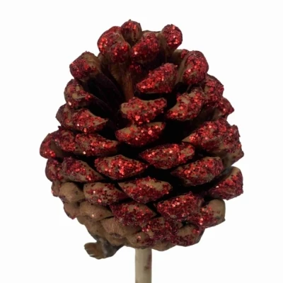 Ozdoby VÁNOČNÍ PINE CONE RED GLITTER 6cm 