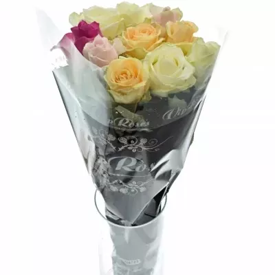 Pastelové růže AVALANCHE PASTEL MIX 50cm (L)