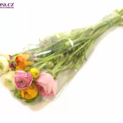 Pryskyřník Asijský MIX 15g