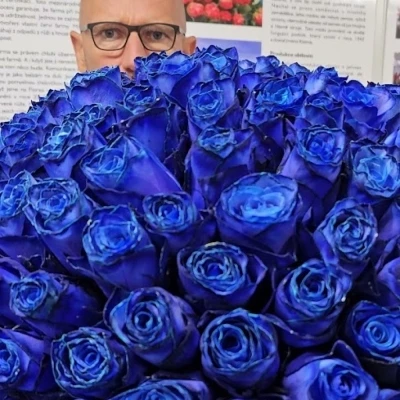 ROSA BLUE ROYAL - MODRÁ RŮŽE (XXL) EQ