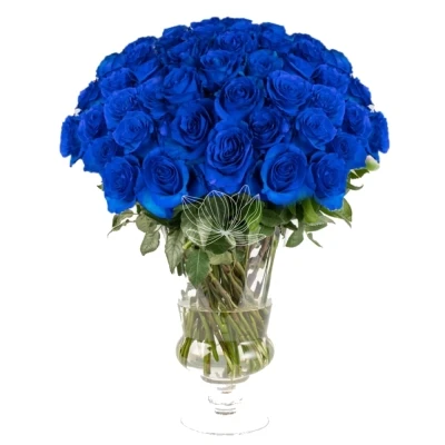 ROSA BLUE ROYAL - MODRÁ RŮŽE (XXL) EQ
