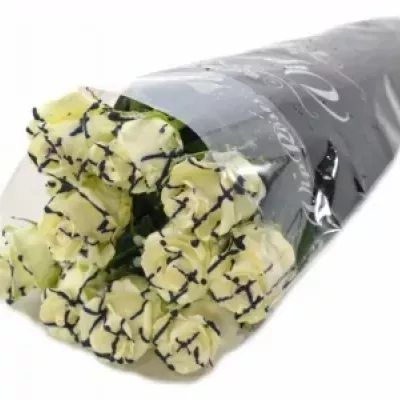 ROSA CHOCOLAT BLUE STRIP WHITE