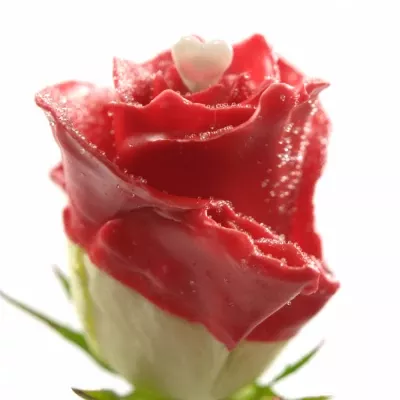 Čokoládová růže CHOCOLAT RED LOVE GLITTERS 50cm (L)