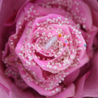 Růžová růže CUPCAKE CHOCOLAT PEARL PINK LOVE 