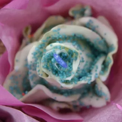 ROSA CUPCAKE CHOCOLATE BLUE PEARL
