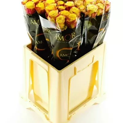 Žlutočervená růže ON AIR 90cm