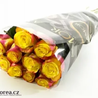 Žlutočervená růže ON AIR 90cm