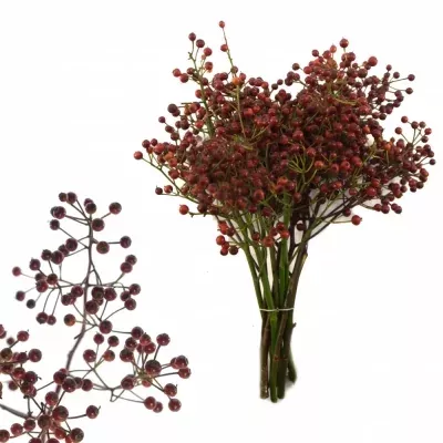 ROSA FAIR DIAMOND 30cm