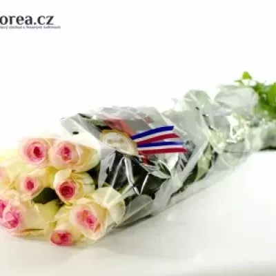 Bílorůžová růže DOLCE VITA+ 80cm