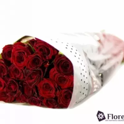 Rudá růže GRAND PRIX 60cm