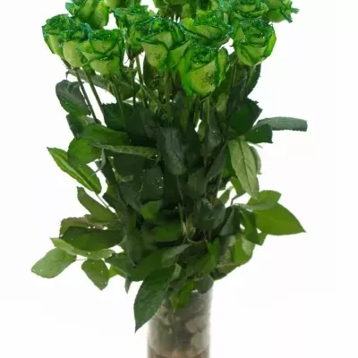 Zelená růže GREEN GLITTER VENDELA 70cm