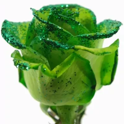 Zelená růže GREEN GLITTER VENDELA 70cm