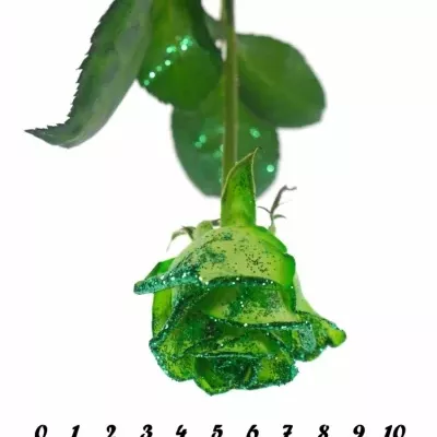 Zelená růže GREEN GLITTER VENDELA 70cm