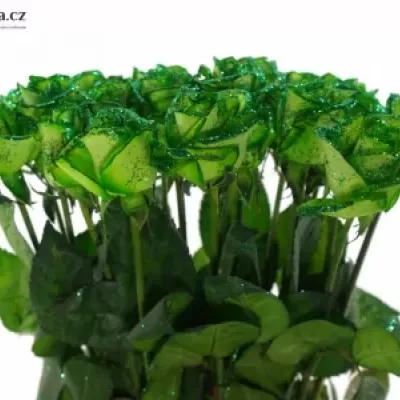 Zelená růže GREEN GLITTER VENDELA 70cm